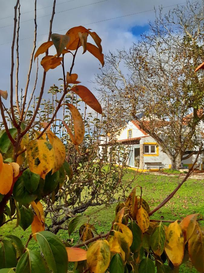 Quintal Do Freixo - Country House Sobral de Monte Agraco Ngoại thất bức ảnh