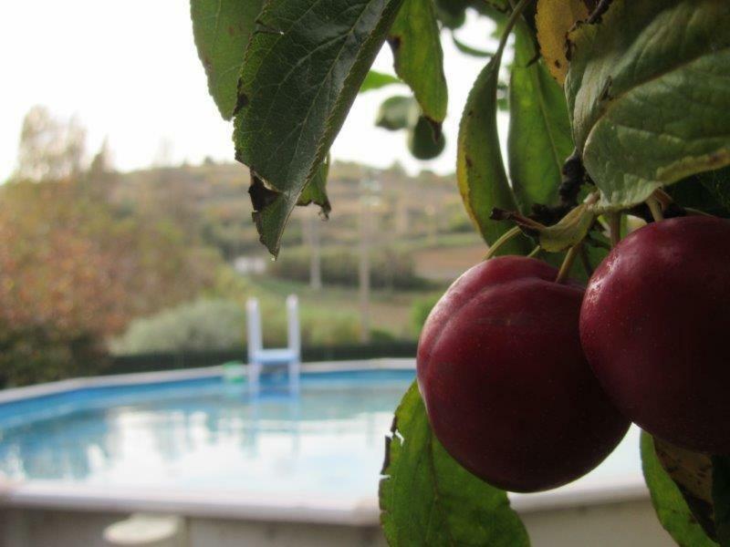 Quintal Do Freixo - Country House Sobral de Monte Agraco Ngoại thất bức ảnh